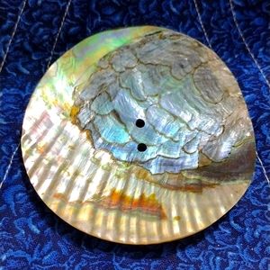 Abalone Shell Button